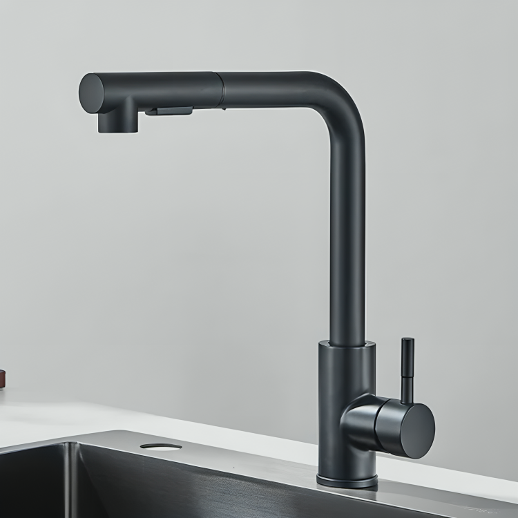 Robinet de cuisine – Bec rétractable avec douchette